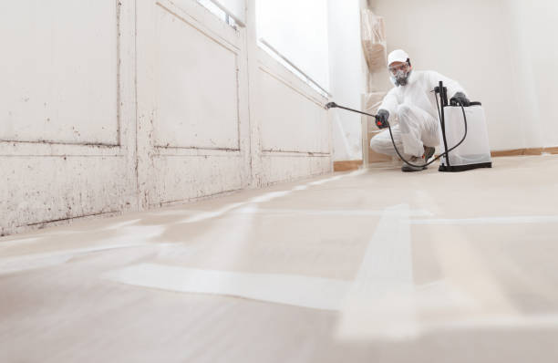 24/7 Emergency Commercial Mold Remediation experts in Zebulon, GA